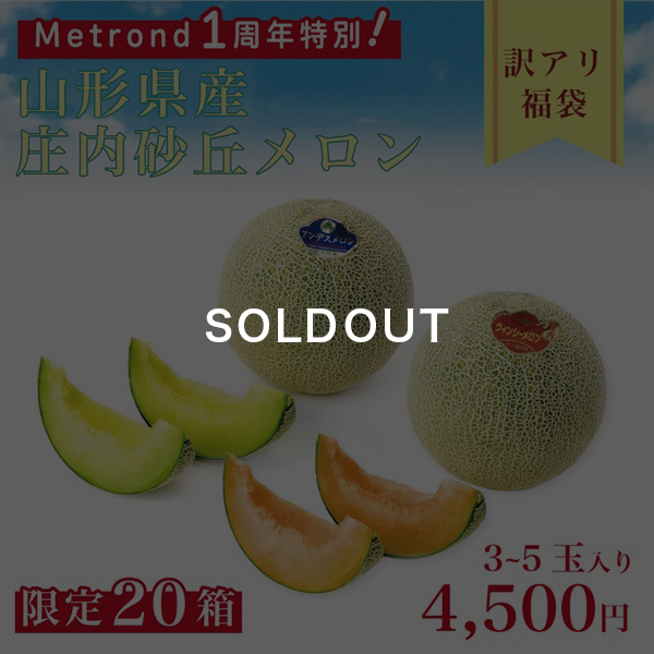 庄内砂丘メロン