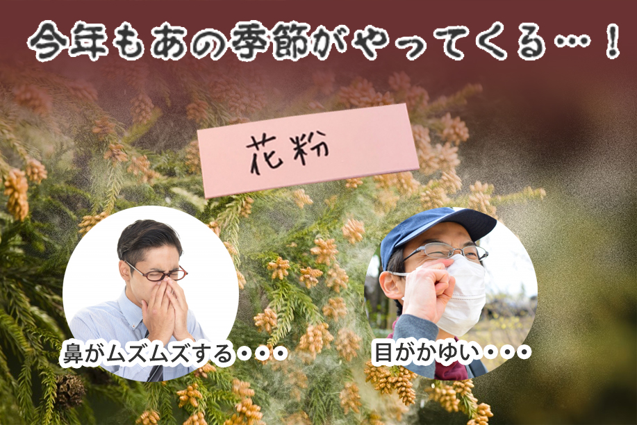 すぎひのきどりんく