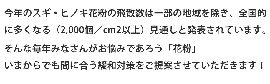 すぎひのきどりんく