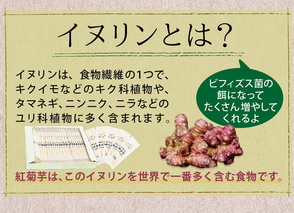 インスリン説明