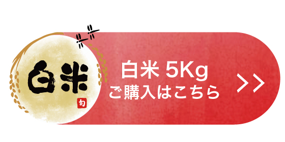 白米5Kgを購入