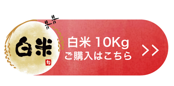 白米10Kgを購入