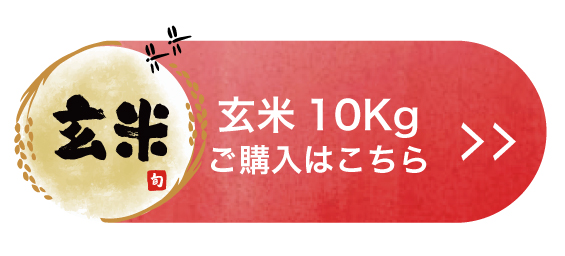 玄米10Kgを購入