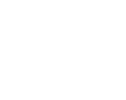 3150FIGHT 公式ロゴ